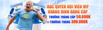 Tải app Q88 - Trải nghiệm di động mượt mà